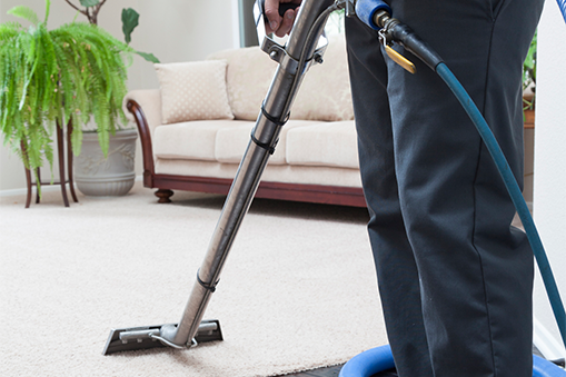 Person performing carpet cleaning services in Draper, UT